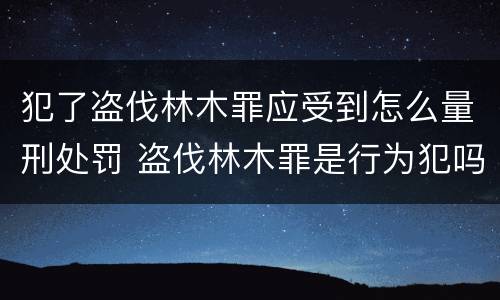 犯了盗伐林木罪应受到怎么量刑处罚 盗伐林木罪是行为犯吗