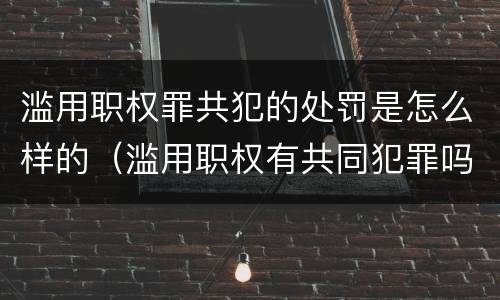 滥用职权罪共犯的处罚是怎么样的（滥用职权有共同犯罪吗）