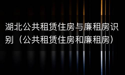 湖北公共租赁住房与廉租房识别（公共租赁住房和廉租房）