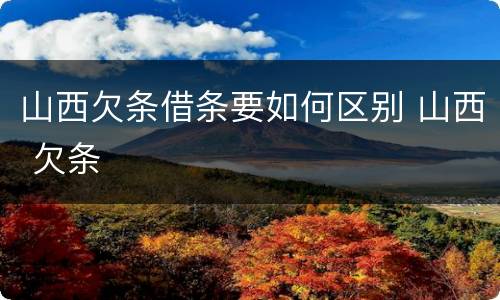 山西欠条借条要如何区别 山西 欠条