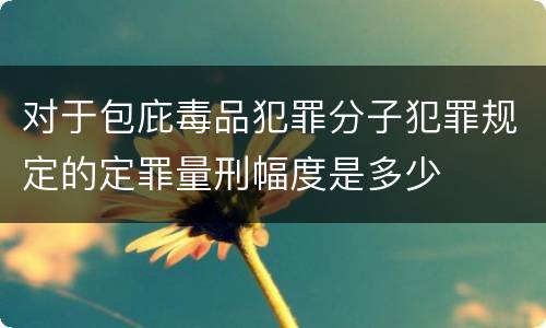 对于包庇毒品犯罪分子犯罪规定的定罪量刑幅度是多少