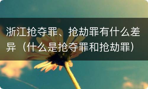 浙江抢夺罪、抢劫罪有什么差异（什么是抢夺罪和抢劫罪）