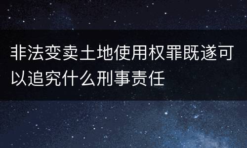 非法变卖土地使用权罪既遂可以追究什么刑事责任