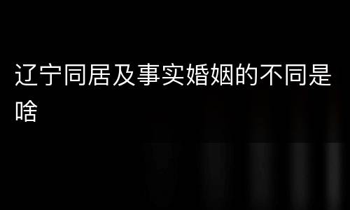 辽宁同居及事实婚姻的不同是啥