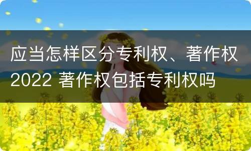 应当怎样区分专利权、著作权2022 著作权包括专利权吗