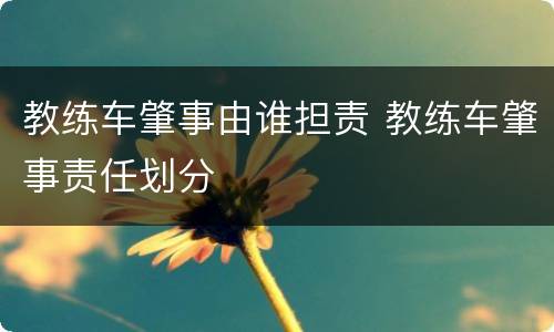 教练车肇事由谁担责 教练车肇事责任划分