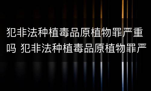 犯非法种植毒品原植物罪严重吗 犯非法种植毒品原植物罪严重吗判几年