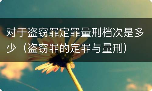 对于盗窃罪定罪量刑档次是多少（盗窃罪的定罪与量刑）