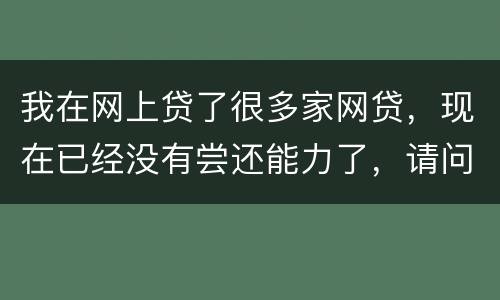 我在网上贷了很多家网贷，现在已经没有尝还能力了，请问我该怎么办，会被坐牢吗