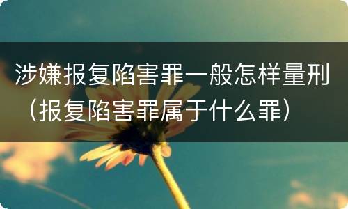 涉嫌报复陷害罪一般怎样量刑（报复陷害罪属于什么罪）