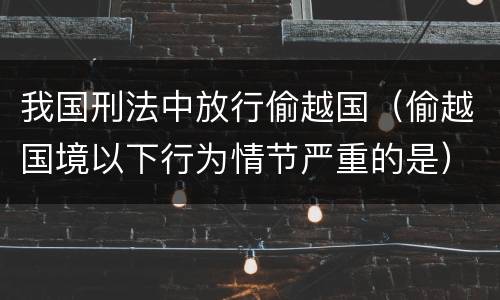 我国刑法中放行偷越国（偷越国境以下行为情节严重的是）