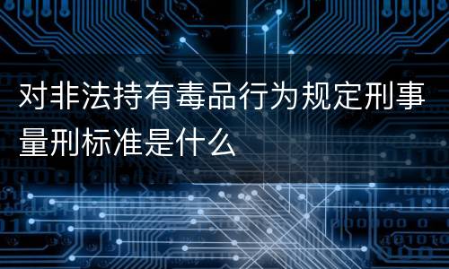 对非法持有毒品行为规定刑事量刑标准是什么