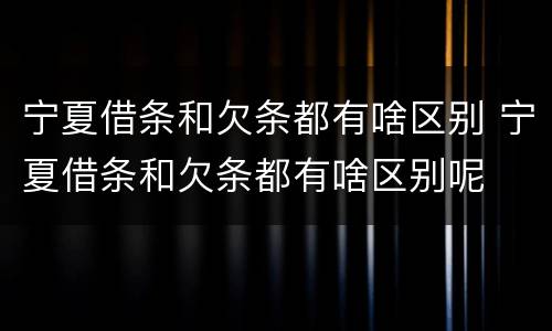 宁夏借条和欠条都有啥区别 宁夏借条和欠条都有啥区别呢