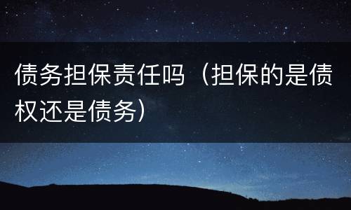 债务担保责任吗（担保的是债权还是债务）
