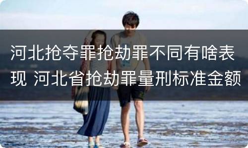 河北抢夺罪抢劫罪不同有啥表现 河北省抢劫罪量刑标准金额