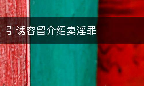 引诱容留介绍卖淫罪