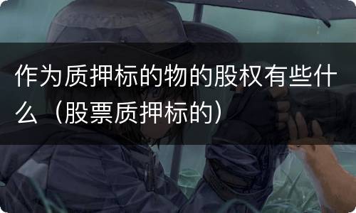 作为质押标的物的股权有些什么（股票质押标的）