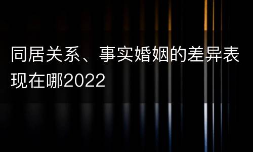 同居关系、事实婚姻的差异表现在哪2022
