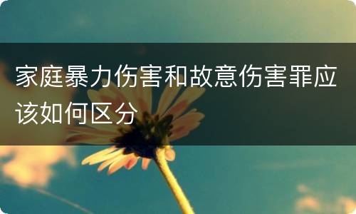 家庭暴力伤害和故意伤害罪应该如何区分
