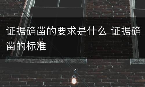 证据确凿的要求是什么 证据确凿的标准