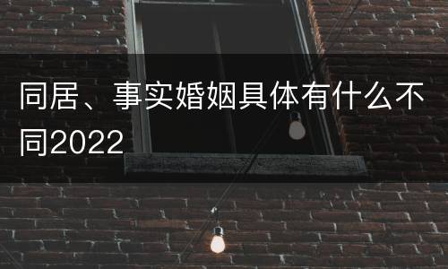 同居、事实婚姻具体有什么不同2022