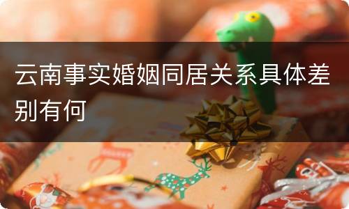 云南事实婚姻同居关系具体差别有何