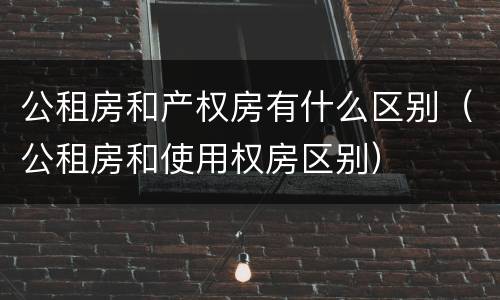 公租房和产权房有什么区别（公租房和使用权房区别）