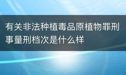 有关非法种植毒品原植物罪刑事量刑档次是什么样