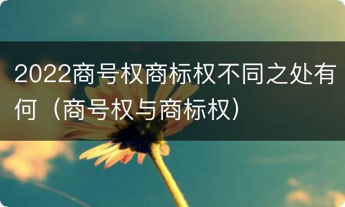 2022商号权商标权不同之处有何（商号权与商标权）
