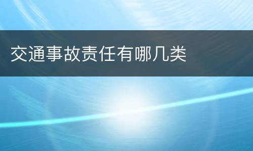 交通事故责任有哪几类