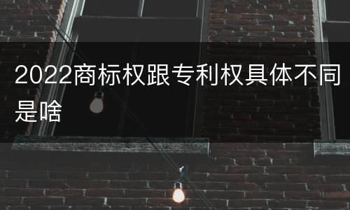 2022商标权跟专利权具体不同是啥