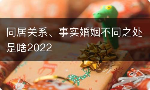 同居关系、事实婚姻不同之处是啥2022