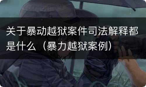关于暴动越狱案件司法解释都是什么（暴力越狱案例）