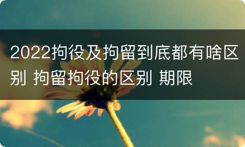 2022拘役及拘留到底都有啥区别 拘留拘役的区别 期限