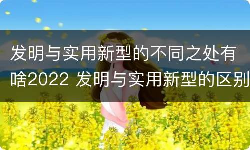 发明与实用新型的不同之处有啥2022 发明与实用新型的区别有哪些
