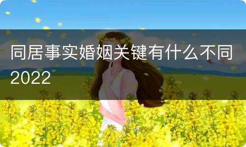 同居事实婚姻关键有什么不同2022