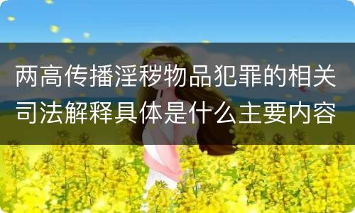 两高传播淫秽物品犯罪的相关司法解释具体是什么主要内容