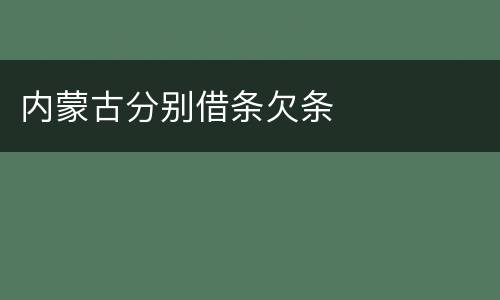 内蒙古分别借条欠条