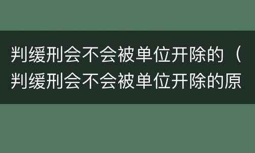 判缓刑会不会被单位开除的（判缓刑会不会被单位开除的原因）