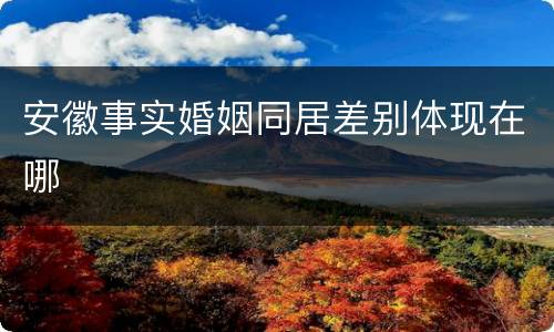 安徽事实婚姻同居差别体现在哪