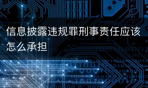 信息披露违规罪刑事责任应该怎么承担