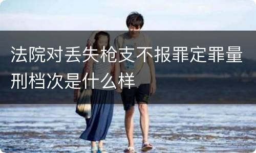 法院对丢失枪支不报罪定罪量刑档次是什么样