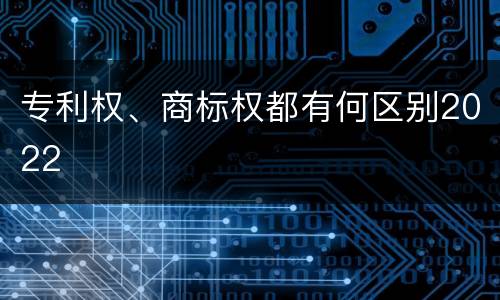 专利权、商标权都有何区别2022