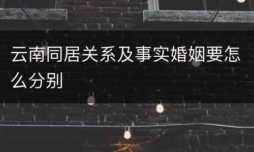 云南同居关系及事实婚姻要怎么分别