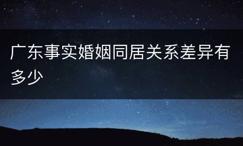 广东事实婚姻同居关系差异有多少