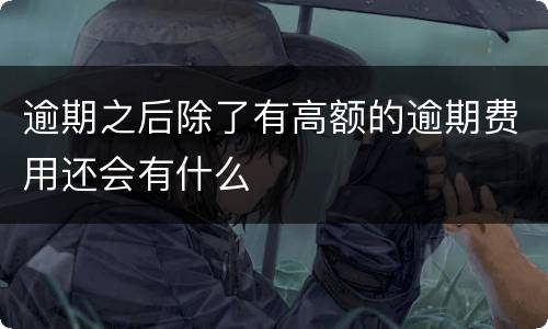 逾期之后除了有高额的逾期费用还会有什么