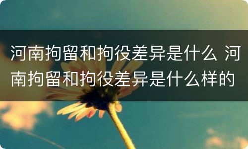 河南拘留和拘役差异是什么 河南拘留和拘役差异是什么样的