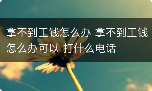 拿不到工钱怎么办 拿不到工钱怎么办可以 打什么电话