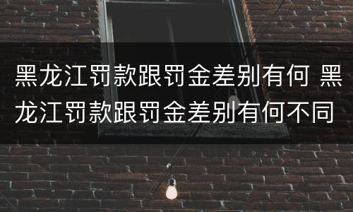 黑龙江罚款跟罚金差别有何 黑龙江罚款跟罚金差别有何不同