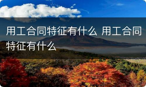 用工合同特征有什么 用工合同特征有什么